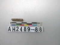 藏品(磨製石針)的圖片